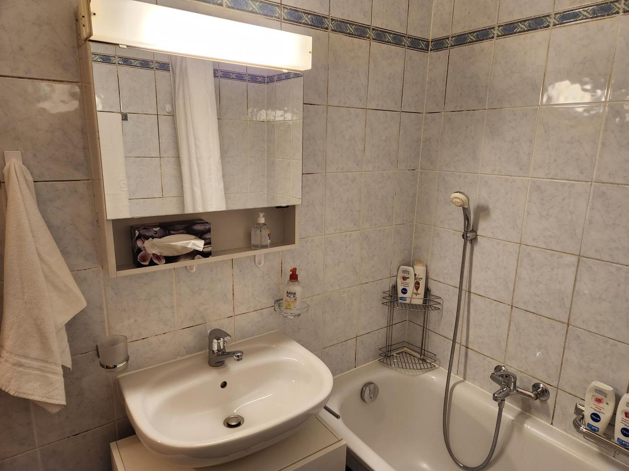 Room In Shared Apartment Женева Екстериор снимка